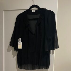 Aritzia Wilfred Sheer Pleated Blouse